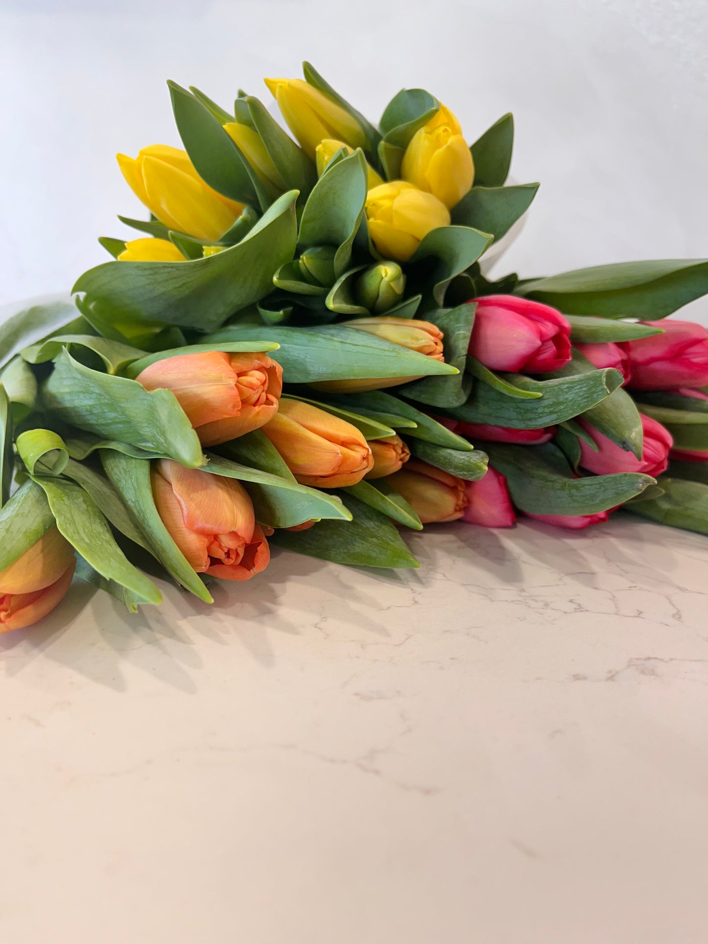 Tulip Bunch