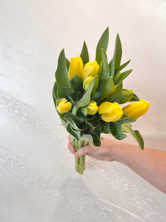 Tulip Bunch